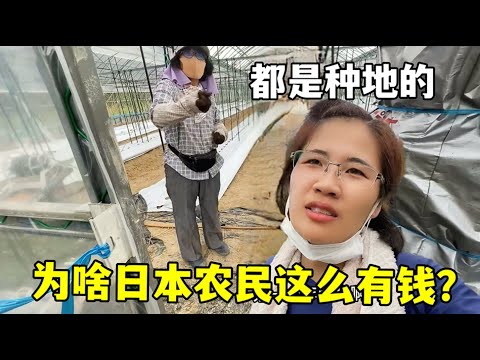 王楚钦与樊,振东,日巅峰对决,PG电子官网,PG电子试玩,PG电子模拟器,PG电子平台,PG电子下载