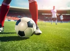 索契对阵莫,斯科斯巴达,专家推荐分,PG电子官网,PG电子试玩,PG电子模拟器,PG电子平台,PG电子下载