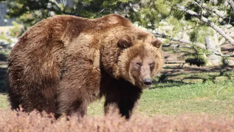 索契对阵莫斯科斯巴达，专家推荐分析